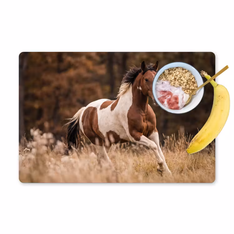 Paard - Bruin - Gras Placemat vinyl groot -zzzproduct_Kitchenyeah-website