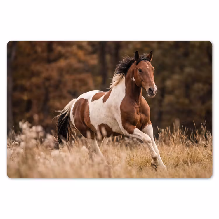 Paard - Bruin - Gras Placemat vinyl groot -zzsfeer1_Kitchenyeah-website