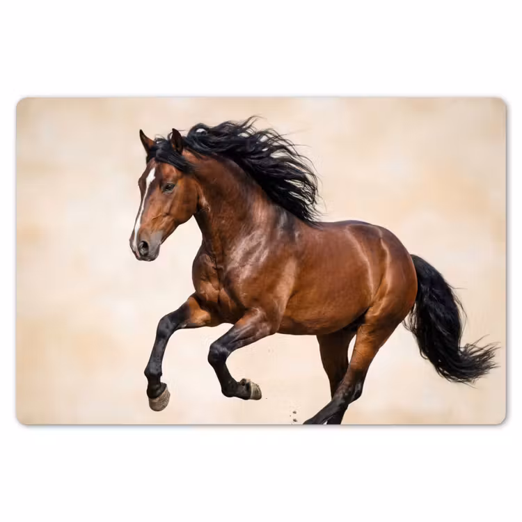 Paard - Galop - Energie Placemat vinyl groot -zzsfeer1_Kitchenyeah-website
