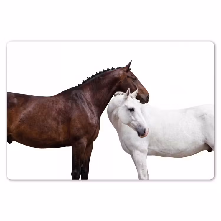 Paard - Modern - Balans Placemat vinyl groot -zzsfeer1_Kitchenyeah-website