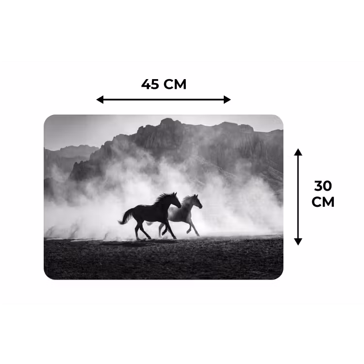 Paard - Ren - Stof - Zwart-wit - Dieren Placemat vinyl groot -specs