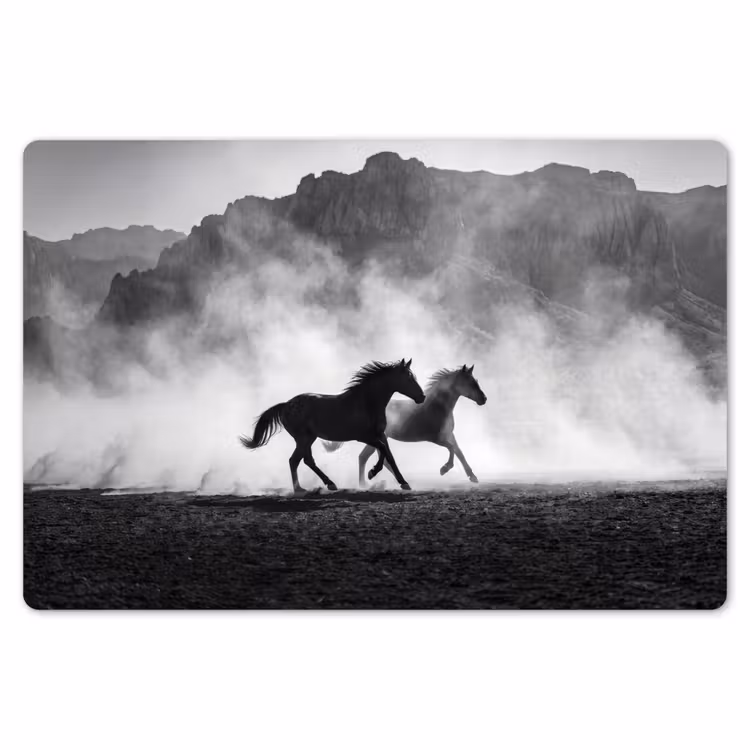 Paard - Ren - Stof - Zwart-wit - Dieren Placemat vinyl groot -zzsfeer1_Kitchenyeah-website