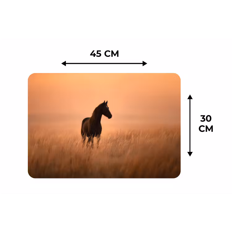 Paard - Grasveld - Zonsondergang Placemat vinyl groot -specs