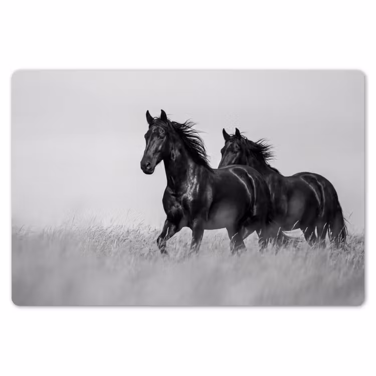 Paarden - Gras - Zwart - Wit Placemat vinyl groot -zzsfeer1_Kitchenyeah-website