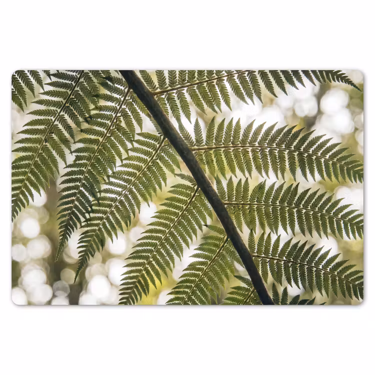 Plant - Blad - Natuur - Groen - Detail Placemat vinyl groot -zzsfeer1_Kitchenyeah-website