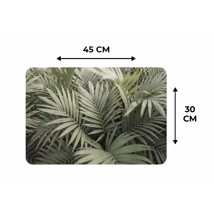 Plant - Palmbladeren - Natuur - Groen Placemat vinyl groot -specs