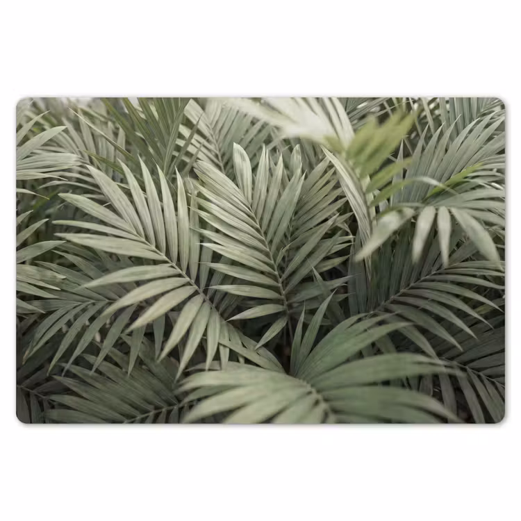 Plant - Palmbladeren - Natuur - Groen Placemat vinyl groot -zzsfeer1_Kitchenyeah-website