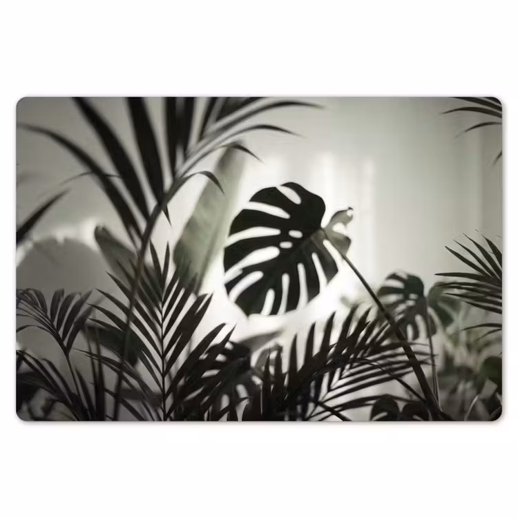 Planten - Bladeren - Natuur - Minimalistisch - Groen Placemat vinyl groot -zzsfeer1_Kitchenyeah-website