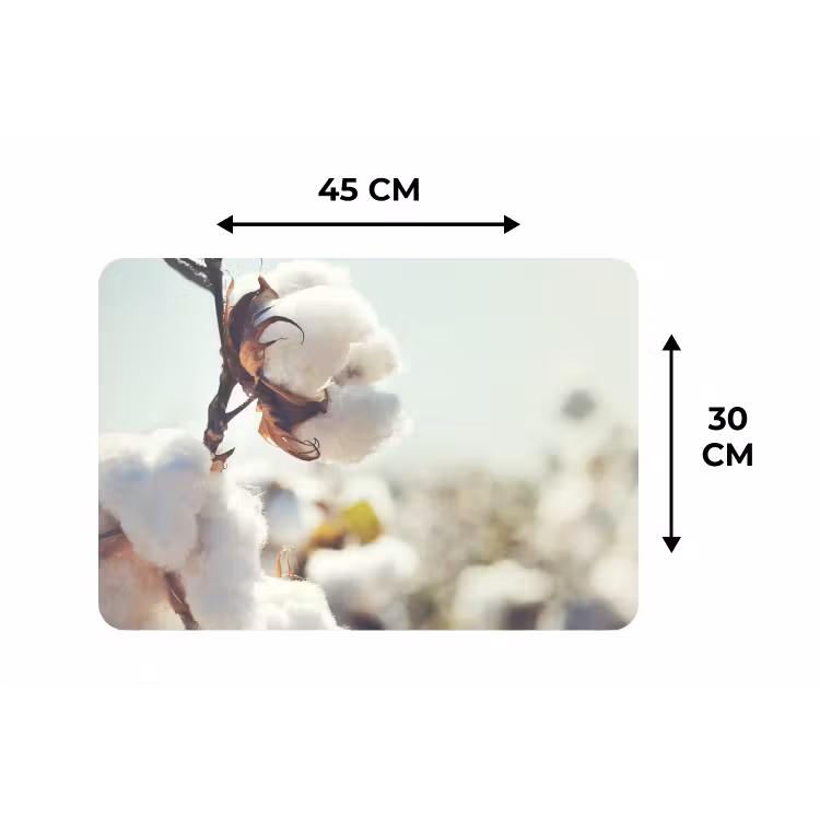 Planten - Bloem - Tak - Natuur Placemat vinyl groot -specs