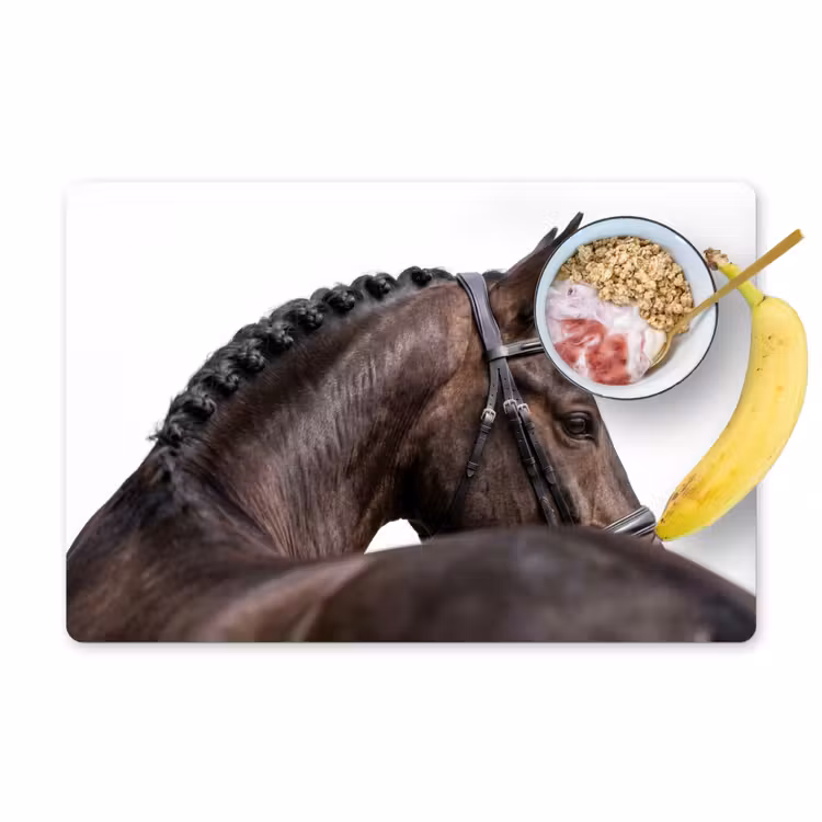 Portret - Paard - Elegant Placemat vinyl groot -zzzproduct_Kitchenyeah-website