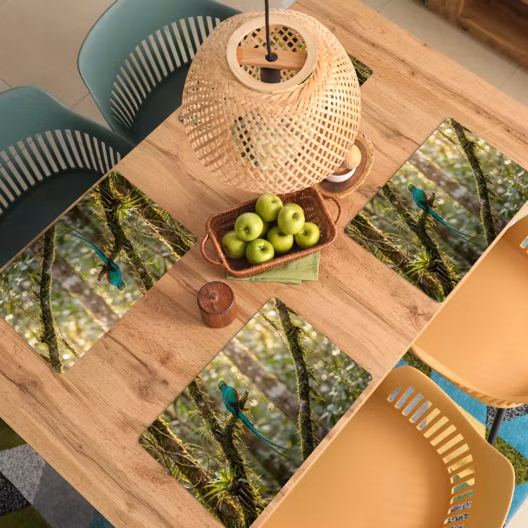Quetzal - Jungle - Natuur - Groen Placemat vinyl groot -zzsfeer5_Kitchenyeah-website