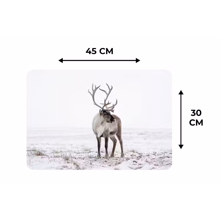 Rendier - Gewei - Sneeuw - Winter Placemat vinyl groot -specs