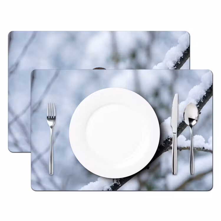 Roodborstje - Tak - Sneeuw - Winter - Levendig Placemat vinyl groot -zzsfeer2_Kitchenyeah-website