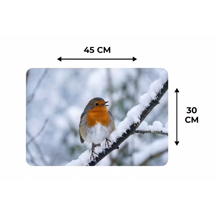 Roodborstje - Tak - Sneeuw - Winter - Levendig Placemat vinyl groot -specs