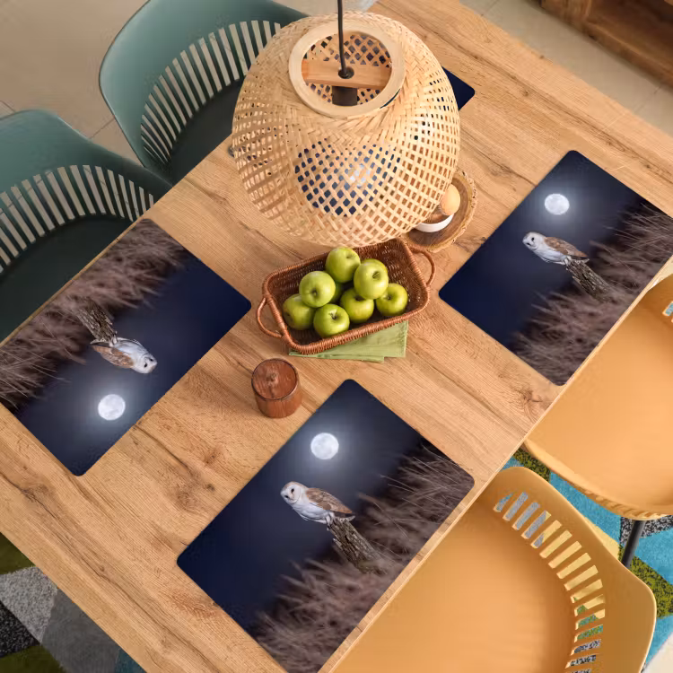 Kerkuil - Maan - Nacht Placemat vinyl groot -zzsfeer5_Kitchenyeah-website