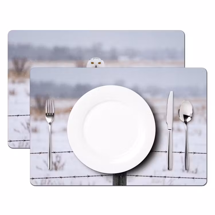 Sneeuwuil - Hek - Sneeuw - Wit Placemat vinyl groot -zzsfeer2_Kitchenyeah-website