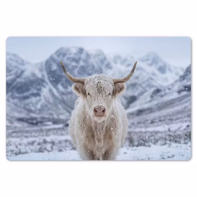 Schotse Hooglander - Sneeuw - Bergen - Winter Placemat vinyl groot -zzsfeer1_Kitchenyeah-website