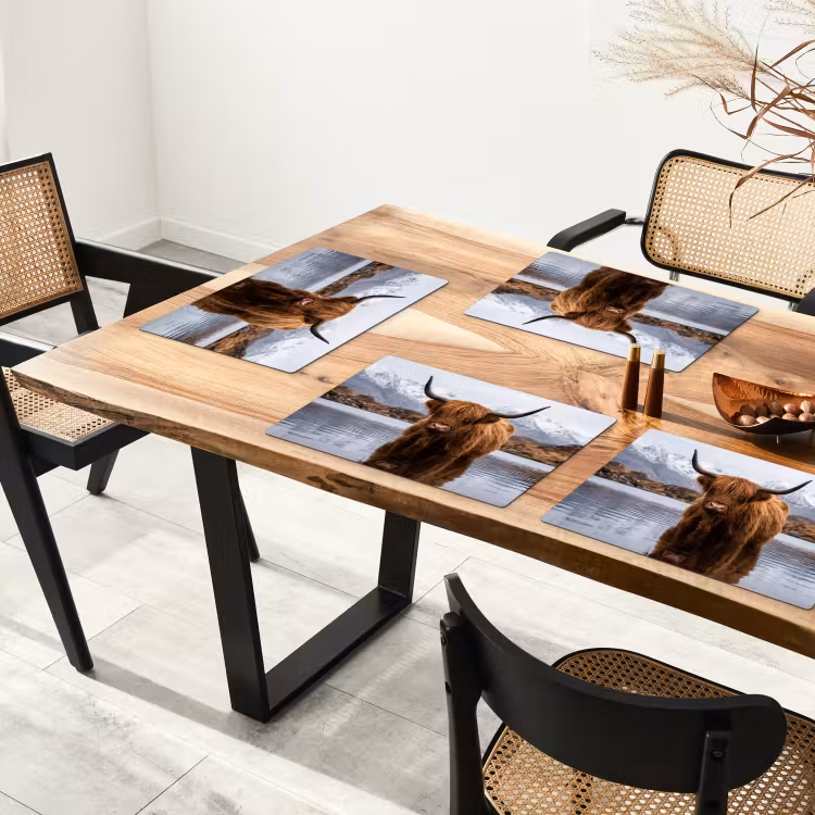 Schotse hooglander - Bruin - Water Placemat vinyl groot -zzsfeer4_Kitchenyeah-website