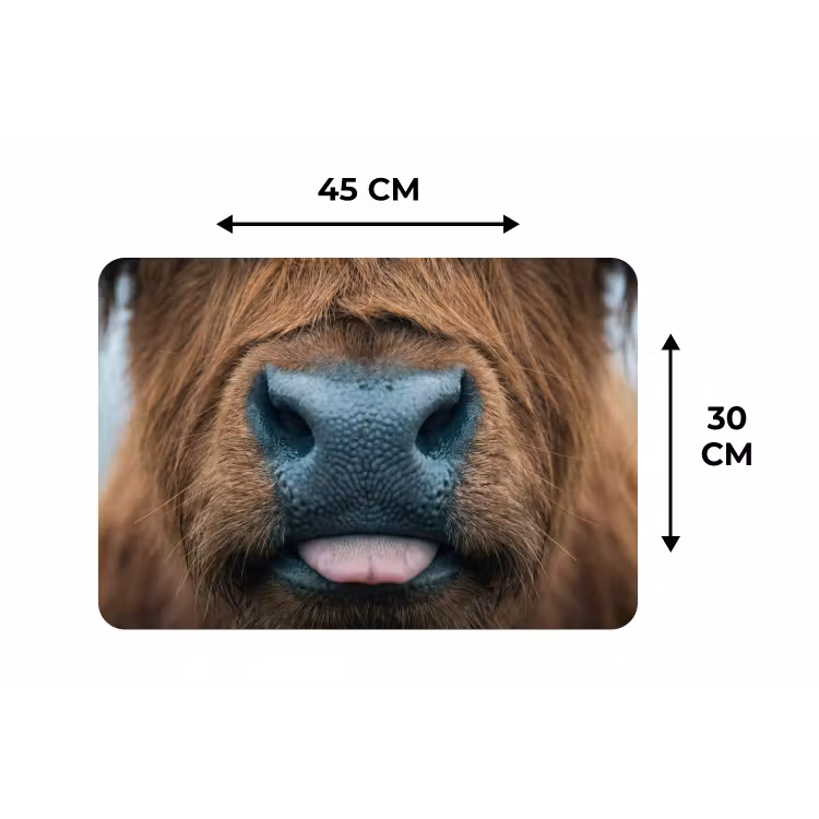 Schotse hooglander - Neus - Bruin Placemat vinyl groot -specs