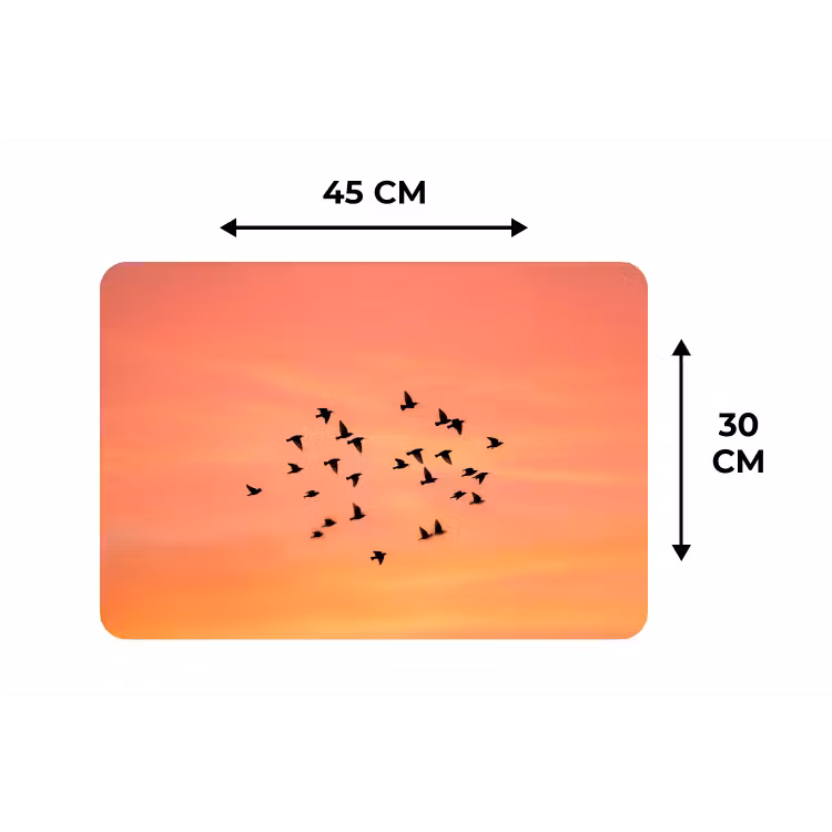 Zwerm - Vogels - Oranje Placemat vinyl groot -specs