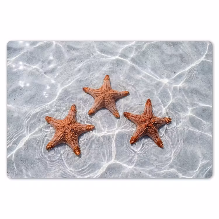 Zeesterren - Water - Helder Placemat vinyl groot -zzsfeer1_Kitchenyeah-website