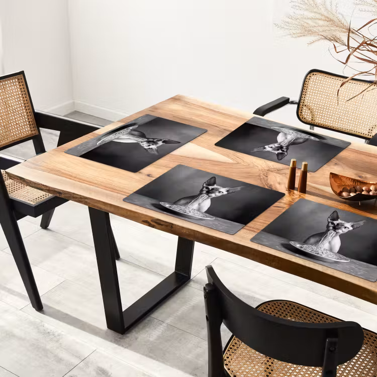 Sphynx - Kat - Dieren - Humor - Spaghetti - Zwart Wit Placemat vinyl groot -zzsfeer4_Kitchenyeah-website