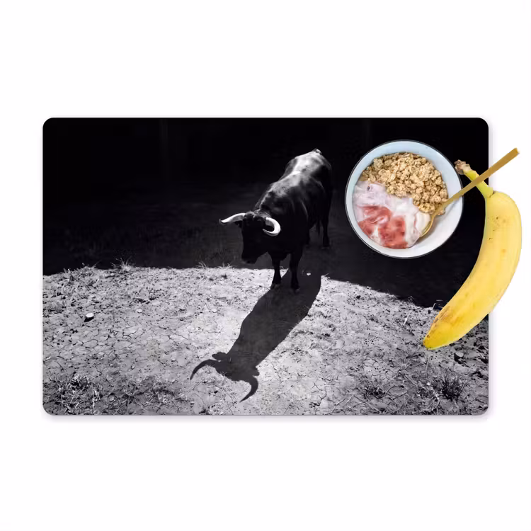 Stier - Schaduw - Dieren - Contrast - Zwart-wit Placemat vinyl groot -zzzproduct_Kitchenyeah-website