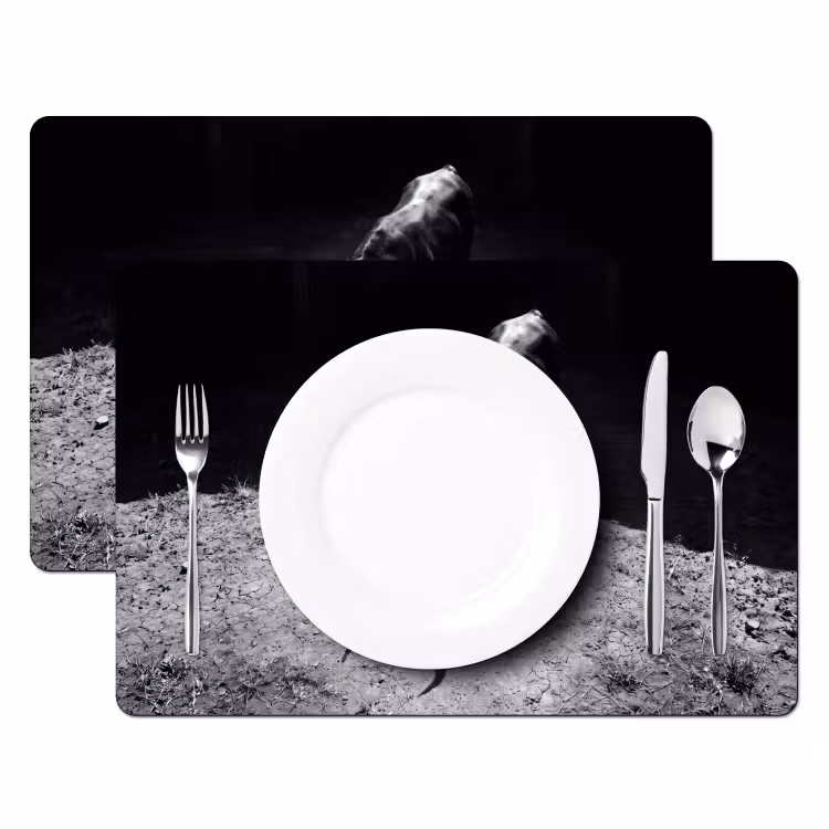 Stier - Schaduw - Dieren - Contrast - Zwart-wit Placemat vinyl groot -zzsfeer2_Kitchenyeah-website