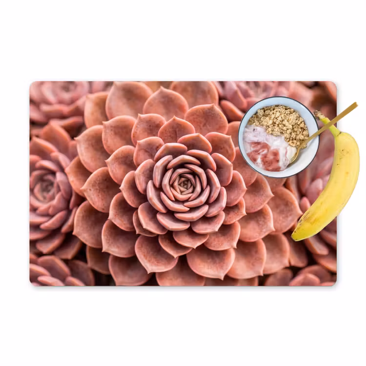Vetplant - Organisch - Roze Placemat vinyl groot -zzzproduct_Kitchenyeah-website