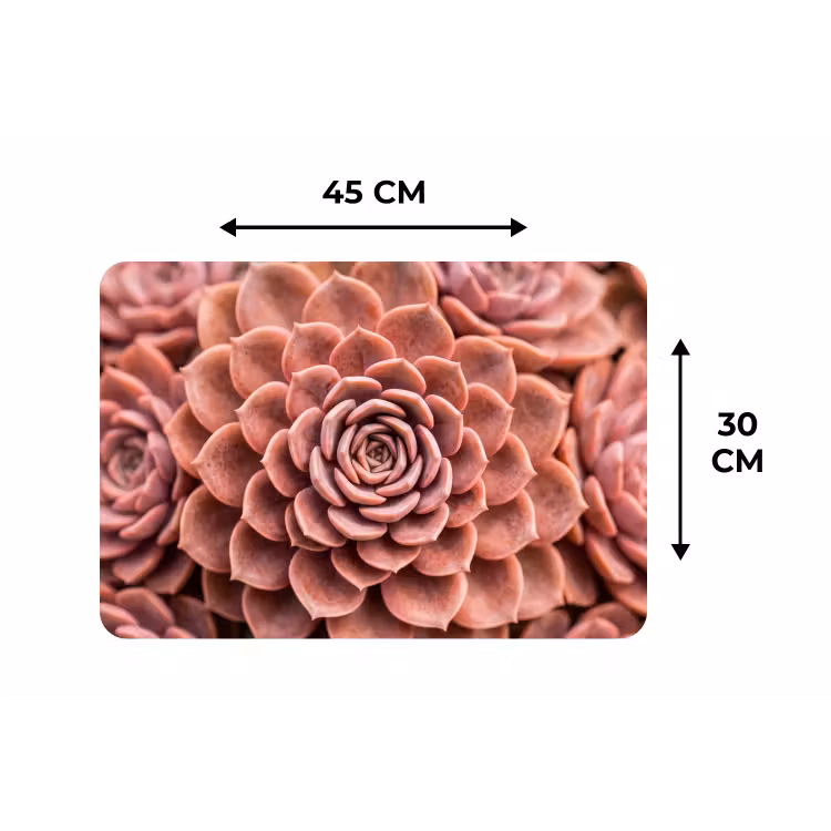 Vetplant - Organisch - Roze Placemat vinyl groot -specs