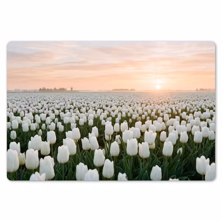 Tulpen - Landschap - Wit Placemat vinyl groot -zzsfeer1_Kitchenyeah-website