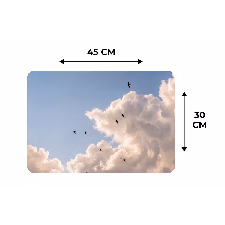 Vogel - Vlucht - Wolken - Natuur - Blauw Placemat vinyl groot -specs
