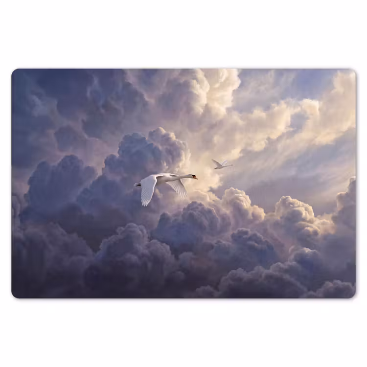 Vogel - Vliegend - Natuur - Wit - Wolken Placemat vinyl groot -zzsfeer1_Kitchenyeah-website