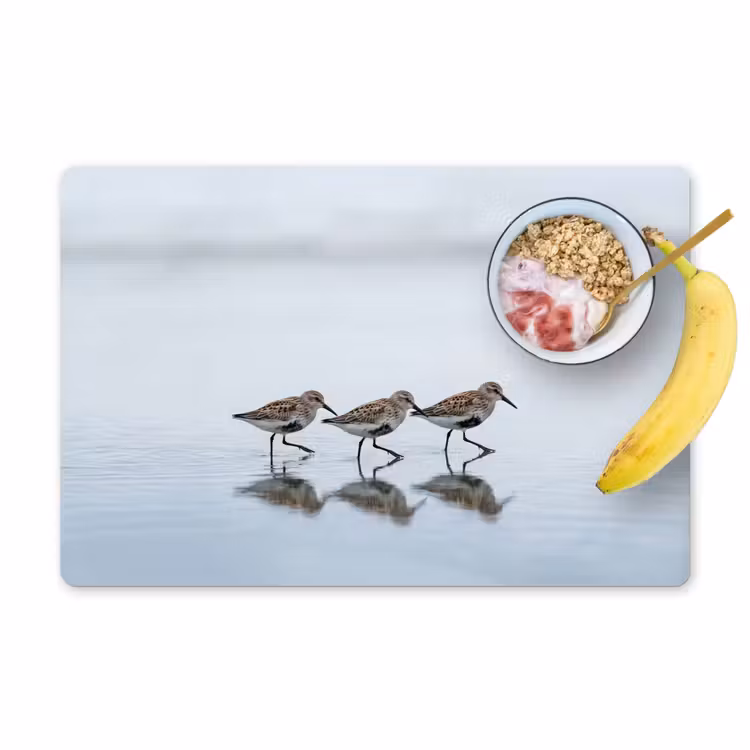 Vogels - Water - Grijs Placemat vinyl groot -zzzproduct_Kitchenyeah-website
