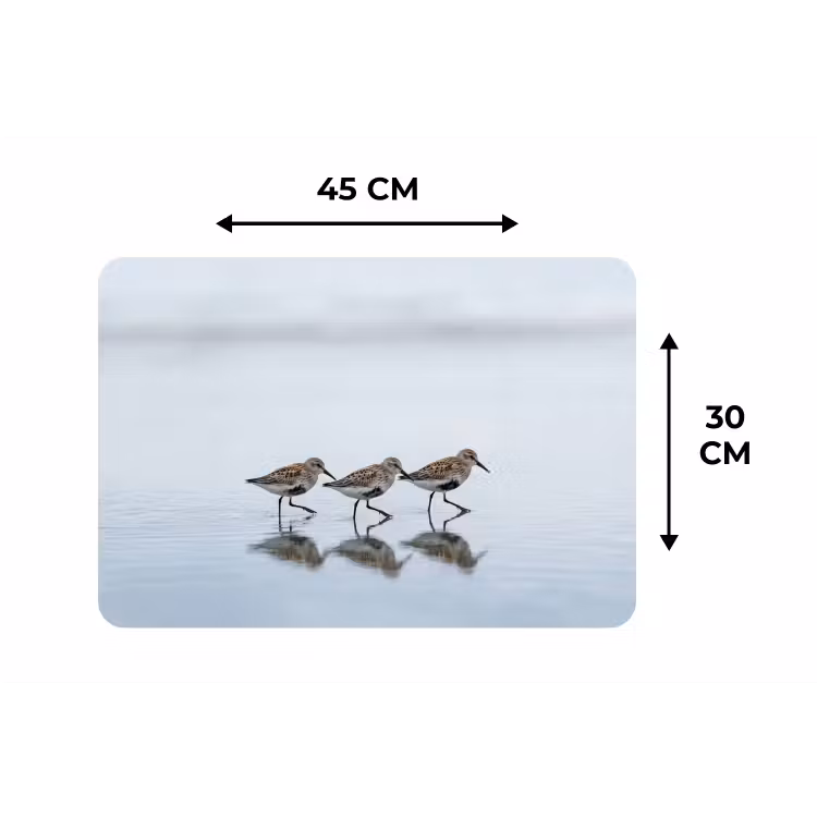 Vogels - Water - Grijs Placemat vinyl groot -specs