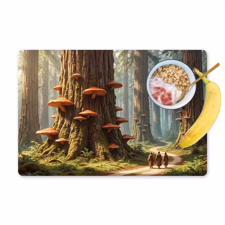 Tischset - 6 Stück - Wald – Bäume – Natur - Bos - Bomen - Natuur Placemat vinyl groot