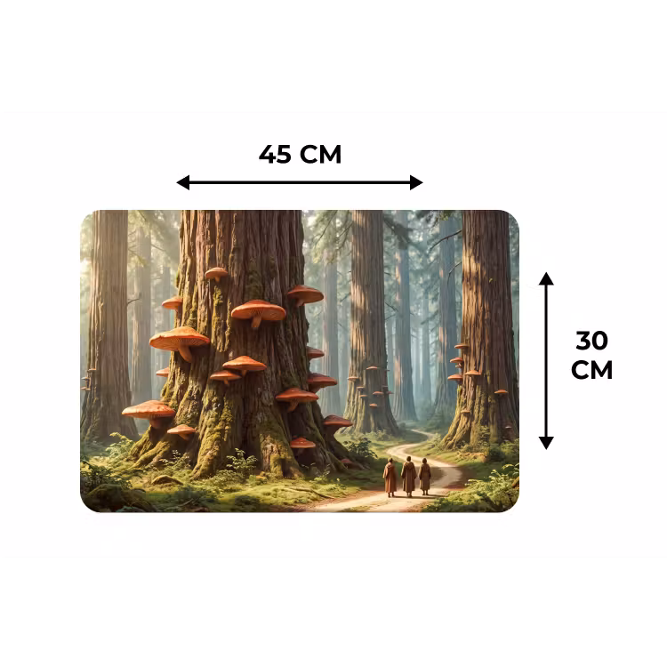 Tischset - 6 Stück - Wald – Bäume – Natur - Bos - Bomen - Natuur Placemat vinyl groot