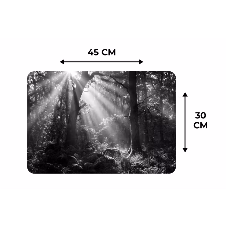 Bos - Lichtstralen - Natuur - Zwart-wit Placemat vinyl groot -specs