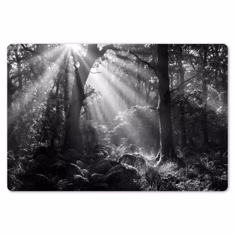Bos - Lichtstralen - Natuur - Zwart-wit Placemat vinyl groot -zzsfeer1_Kitchenyeah-website