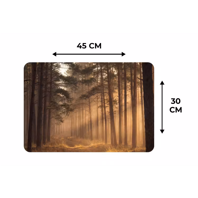 Bos - Mist - Zonlicht Placemat vinyl groot -specs