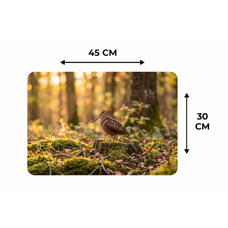 Houtsnip - Bos - Bladeren - Herfst - Gecamoufleerd Placemat vinyl groot -specs