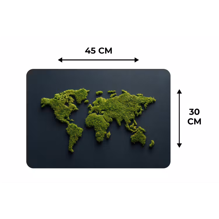 Wereldkaart - Mos -Levendig effect Placemat vinyl groot -specs
