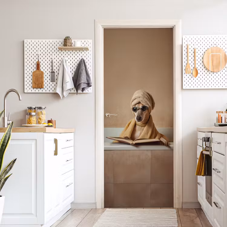 Bad - Hond - Boek - Zonnebril deurposter klein -sfeer5