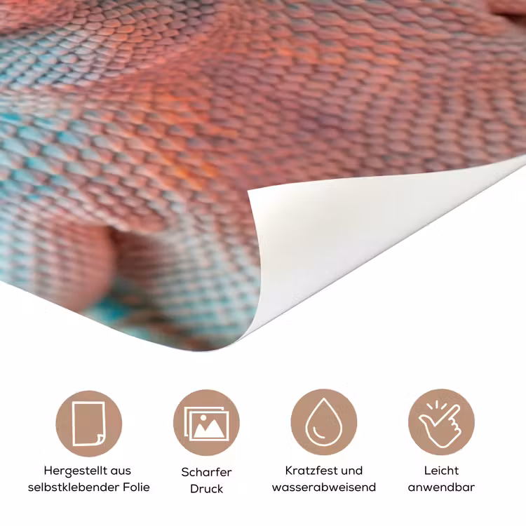 Kameleon - Kauwgom - Kleurrijk deurposter klein -tcloseup_DE
