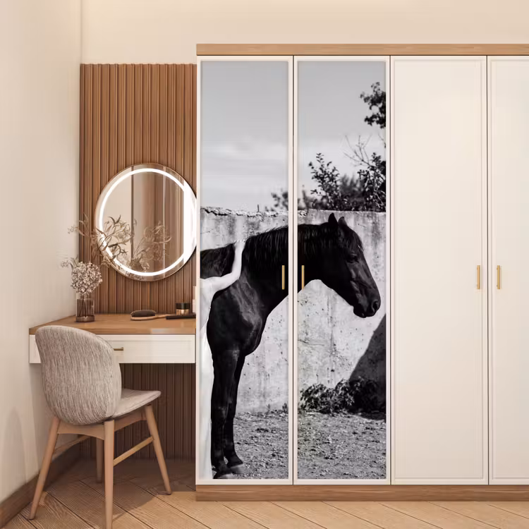 Vrouw - Paard - Artistiek deurposter klein -sfeer3