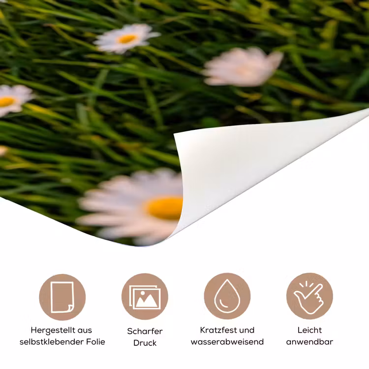 Madelief - Veld - Heuvels - Groen deurposter klein -tcloseup_DE