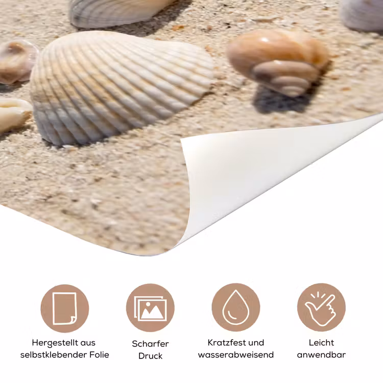 Schelpen - Strand - Natuur - Beige deurposter klein -tcloseup_DE
