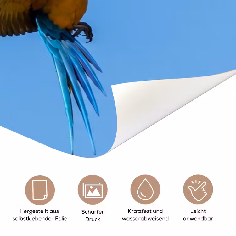 Papagaai - Vliegen - Blauw - Geel deurposter klein -tcloseup_DE