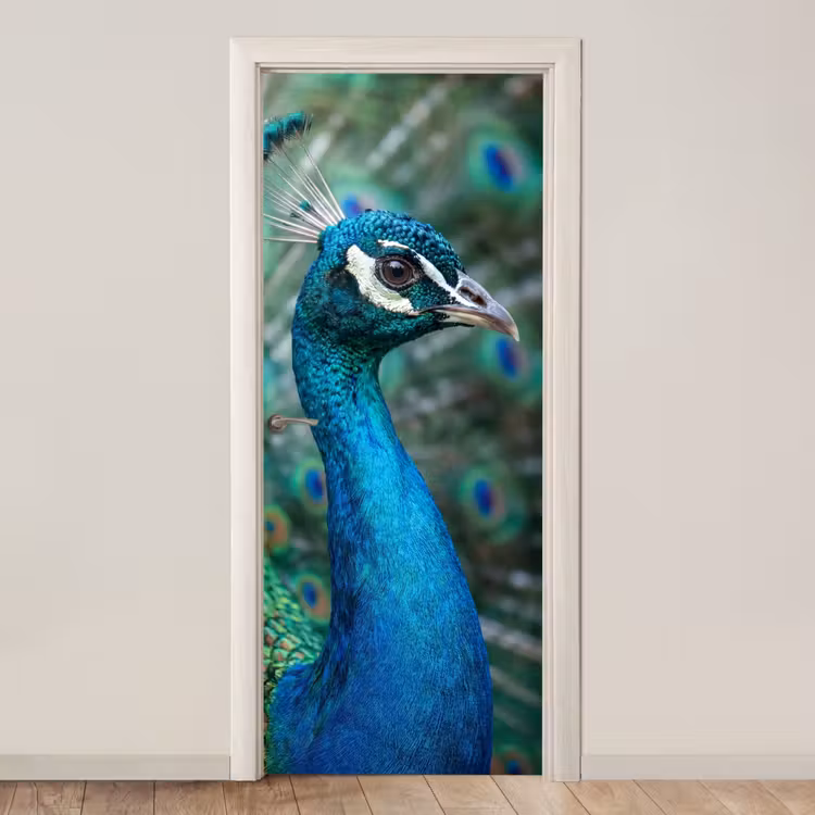 Pauw - Veren - Blauw deurposter klein -3d_beige