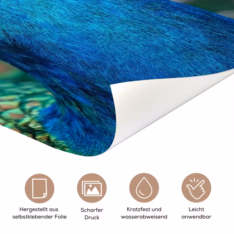 Pauw - Veren - Blauw deurposter klein -tcloseup_DE
